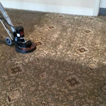 Carpet Cleaning Gallery 0